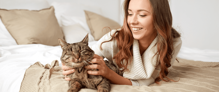 ronronnement chat